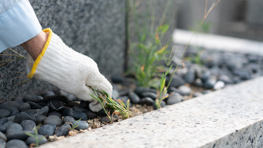 草むしり・除草作業